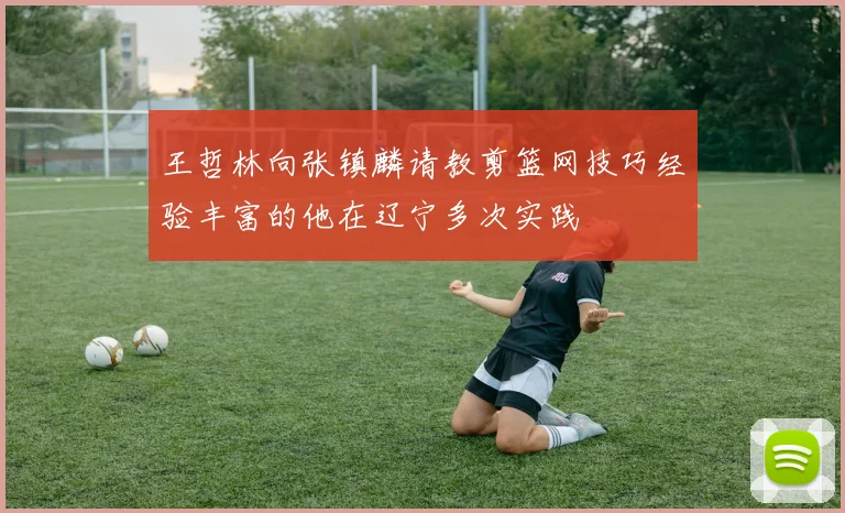 王哲林向张镇麟请教剪篮网技巧经验丰富的他在辽宁多次实践